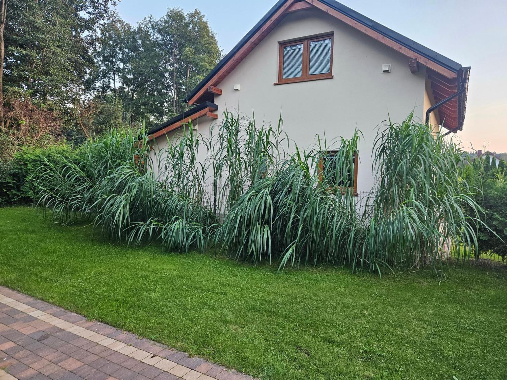 Osada Cztery Pory Roku -Dom Lato Villa Kopalino Exterior photo